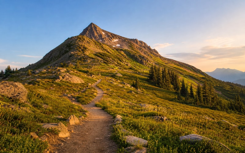 Why a Strong Strategic Plan Is Essential for Scaling Your Business